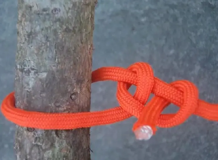 Cómo atar una cuerda a un árbol: Guía completa de nudos para escalada y seguridad - Cómo atar una cuerda a un árbol como atar una cuerda a un arbol - Cómo atar una cuerda a un árbol