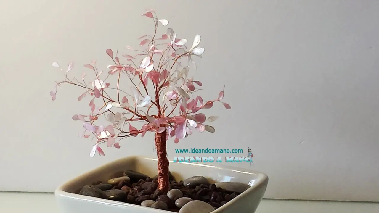 Cómo Dar Forma al Tronco de un Bonsái: Guía Completa para Principiantes - Cómo dar forma al tronco de un bonsái arboles de bonsai manualidades - Cómo dar forma al tronco de un bonsái