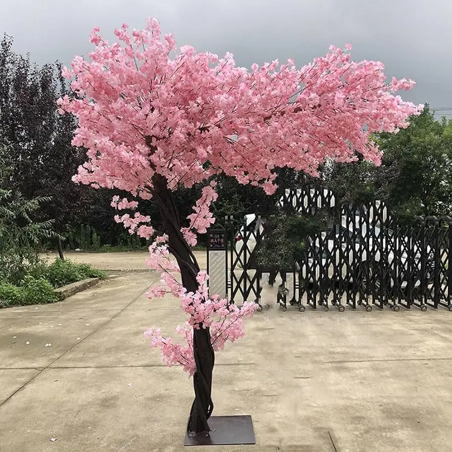 Árbol Rosáceo de América: Especie de Cerezo - Cómo es la hoja del árbol de cerezo arbol rosaceo de america especie de cerezo - Cómo es la hoja del árbol de cerezo