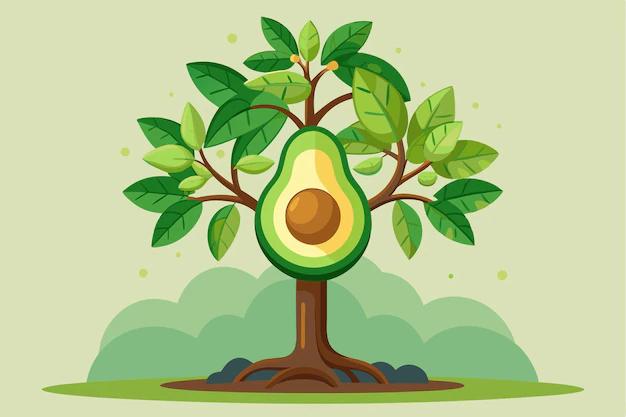El Árbol de Aguacate: Un Viaje por su Crecimiento y Fructificación - Cómo es un árbol de aguacate arbol de aguacate animado - Cómo es un árbol de aguacate
