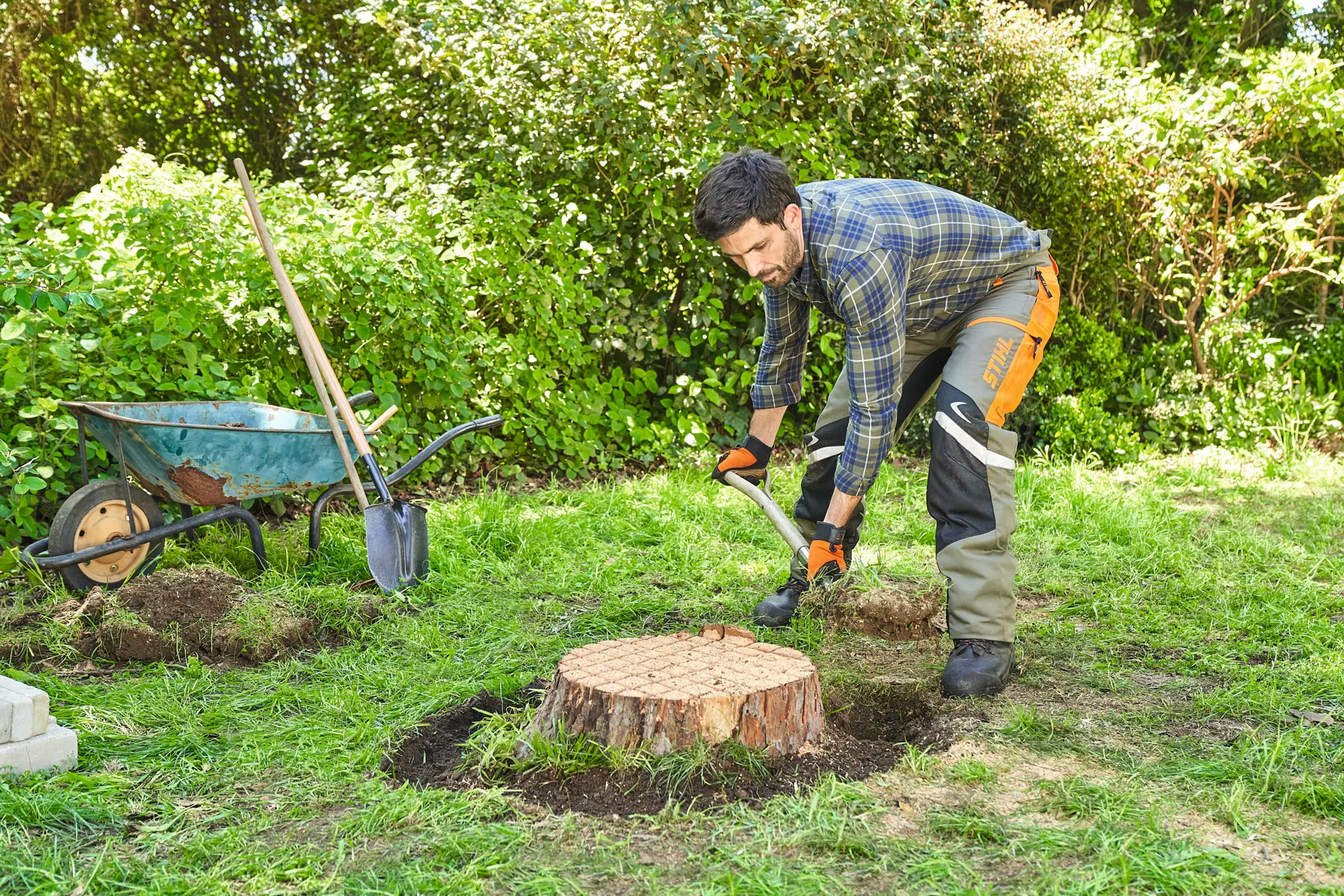 Cómo hacer que un tocón de árbol se descomponga más rápido - Cómo hacer que un tocón de árbol se descomponga más rápido como pudrir un tocon de arbol - Cómo hacer que un tocón de árbol se descomponga más rápido