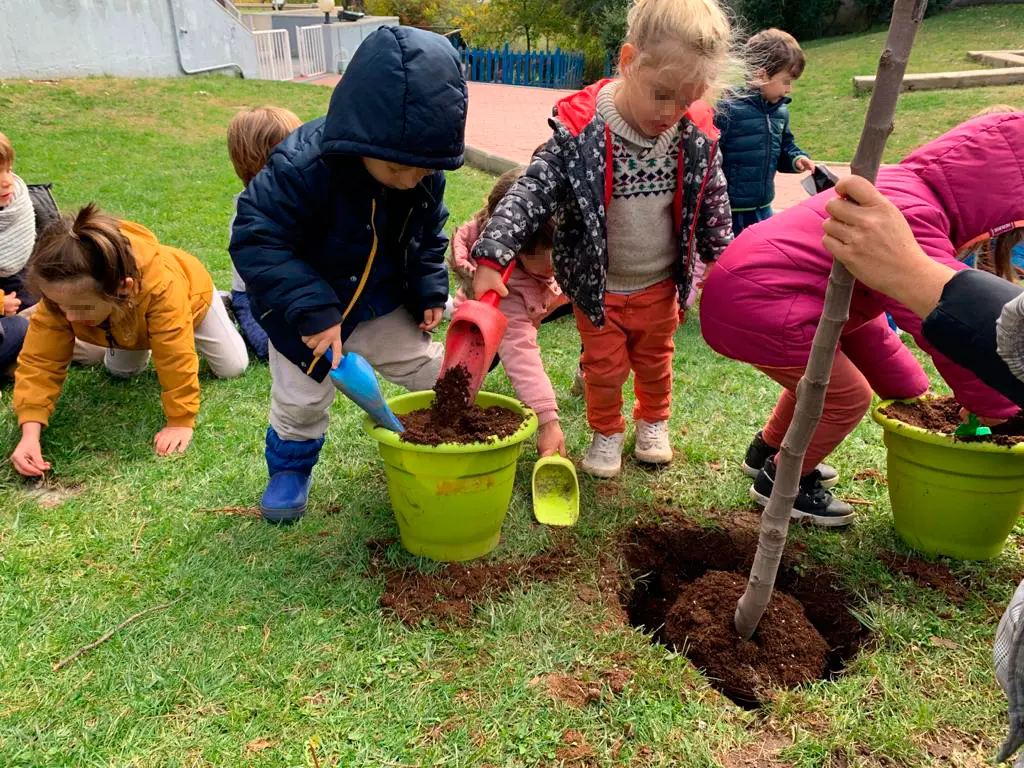 proyecto educativo sobre plantar arboles - Cómo hacer un proyecto de arborización