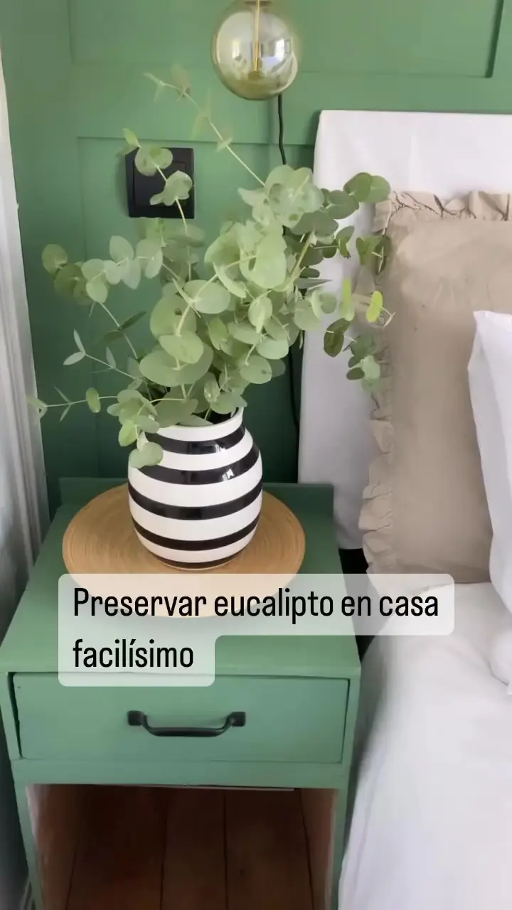como conservar ramas de arboles - Cómo preservar ramas con glicerina