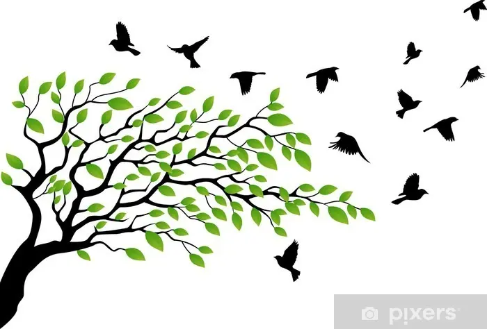Cómo proteger un árbol de los pájaros: Guía completa para evitar daños - Cómo proteger un árbol de los pájaros arbol de pajaros - Cómo proteger un árbol de los pájaros