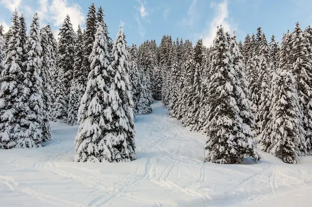 Cómo quitar la nieve artificial del árbol: Guía paso a paso para una limpieza fácil - Cómo quitar la nieve artificial del árbol arboles llenos de nieve - Cómo quitar la nieve artificial del árbol