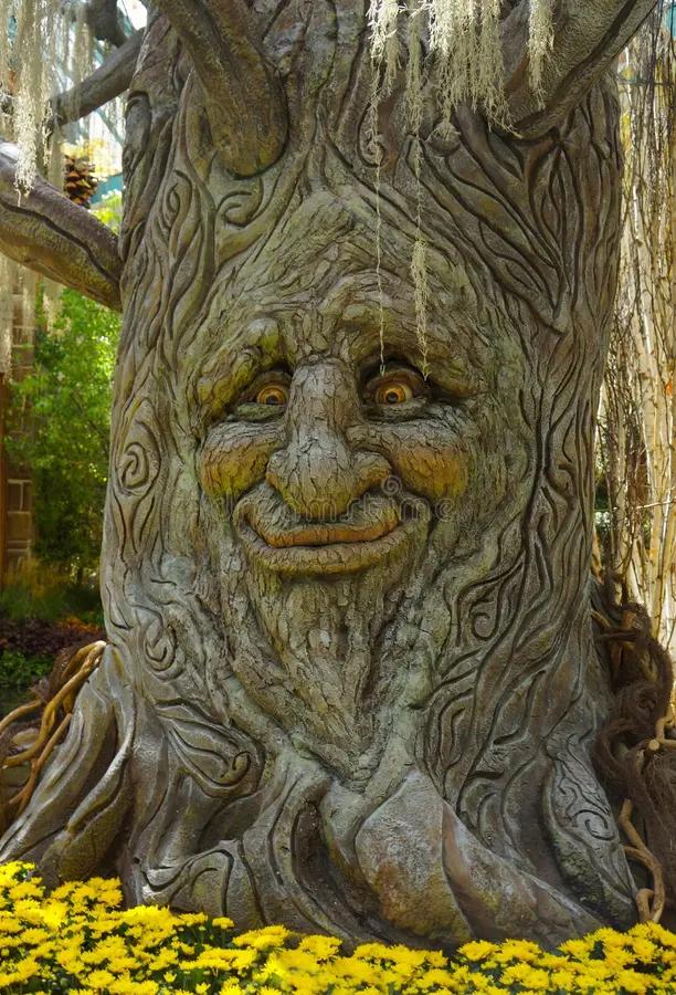 El árbol de las caras: ¿Pareidolia o misterio? - Cómo se llaman los árboles con caras arbol de caras - Cómo se llaman los árboles con caras