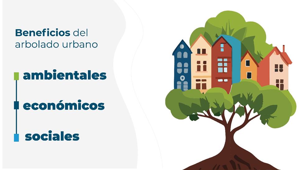 La pertinencia de un proyecto de arbolado: Cómo evaluarla para un impacto positivo - Cómo se mide la pertinencia de un proyecto pertinencia de un proyecto de arbolado - Cómo se mide la pertinencia de un proyecto