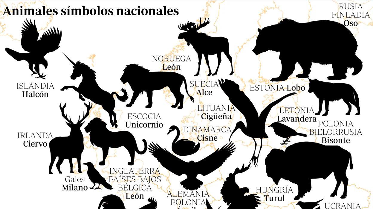 El Árbol Nacional de Alemania: Un Símbolo Sin Definir - Cuál es el animal nacional de Alemania arbol nacional de alemania - Cuál es el animal nacional de Alemania