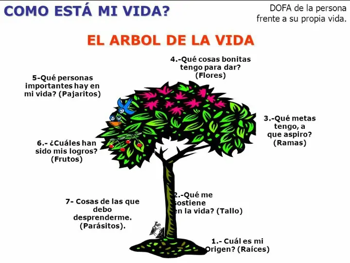 El árbol de la vida: una reseña de la obra maestra de Terrence Malick - Cuál es el sentido de la película El árbol de la vida el arbol de la vida reseña - Cuál es el sentido de la película El árbol de la vida