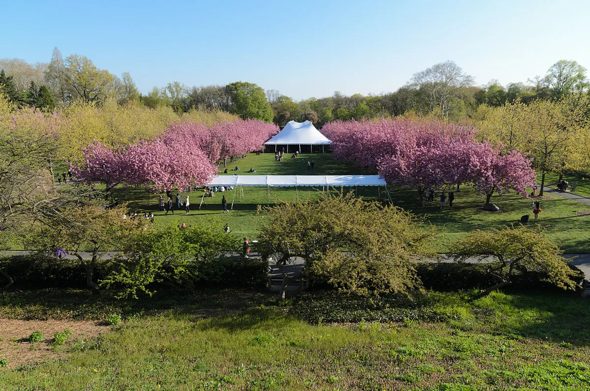 Descripción de un Jardín Arbolado: Guía Completa para Entender sus Características - Cuáles son las características de un jardín descripcion de jardin arbolado - Cuáles son las características de un jardín