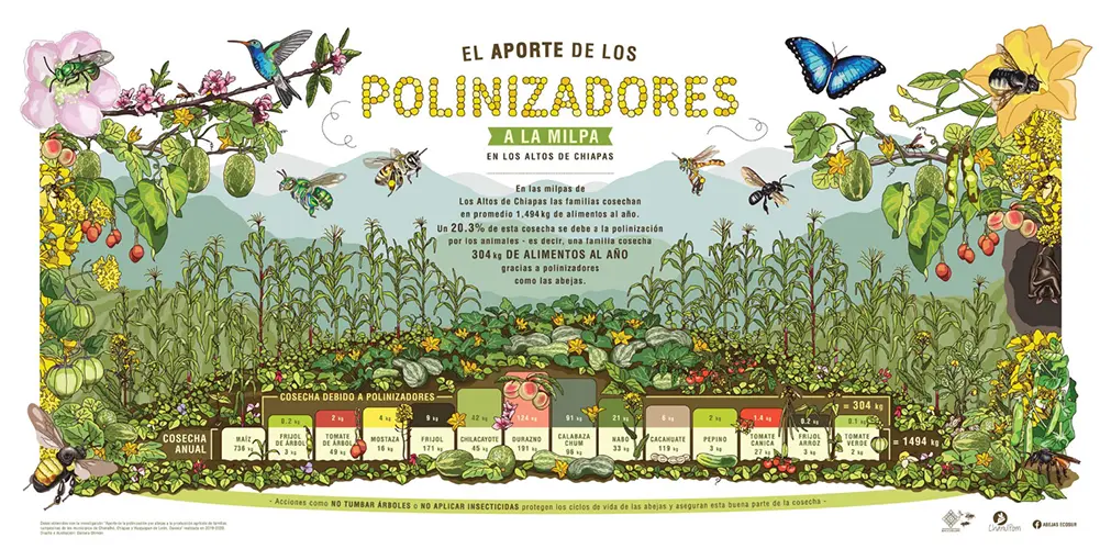 Plantas Polinizadoras: Un Jardín para la Vida - Cuáles son las plantas de polinizadores arboles polinizadores - Cuáles son las plantas de polinizadores