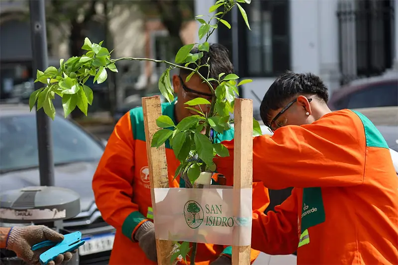 Plan Arbolado Ezeiza Municipio: Una iniciativa para un futuro verde - Cuánto cuesta la libreta sanitaria Ezeiza plan arbolado ezeiza municipio - Cuánto cuesta la libreta sanitaria Ezeiza