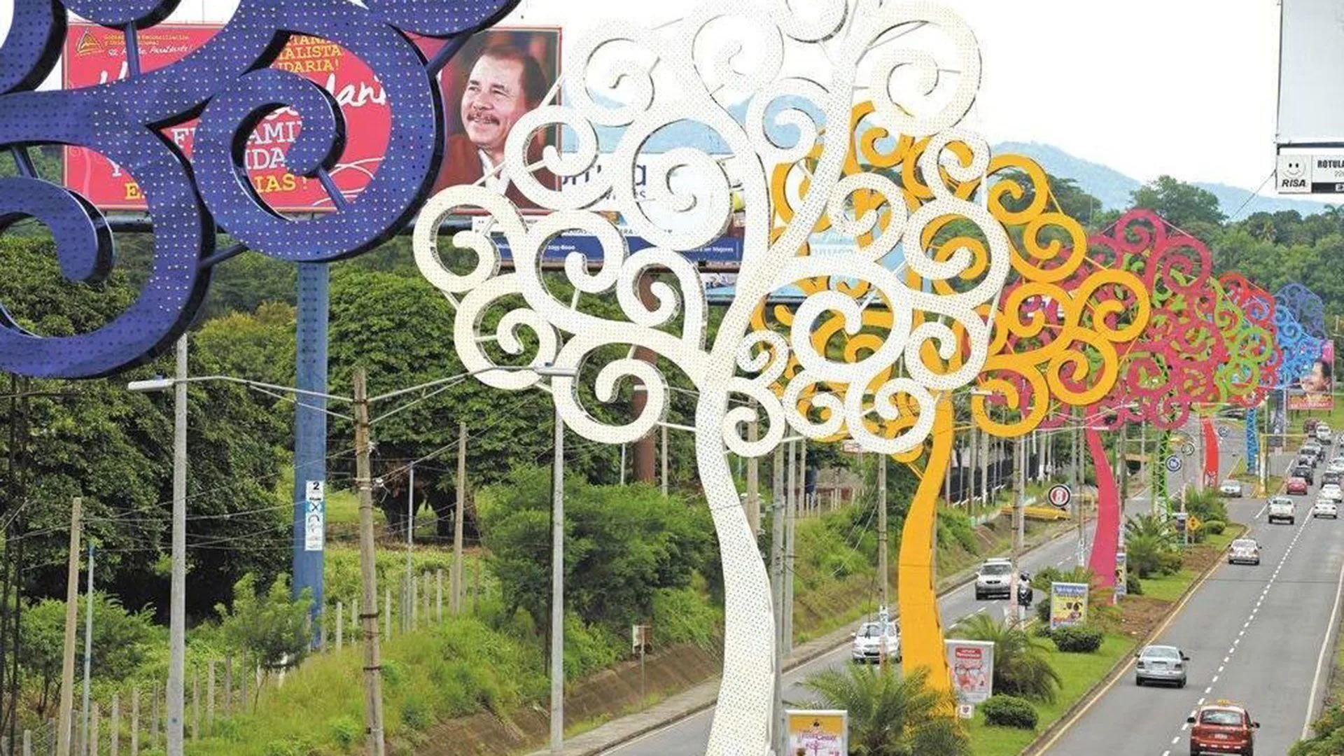Precios de árboles de Navidad en Nicaragua: ¿Cuánto cuesta la tradición navideña? - Cuánto mide el árbol más grande de Nicaragua arboles de metal en nicaragua - Cuánto mide el árbol más grande de Nicaragua