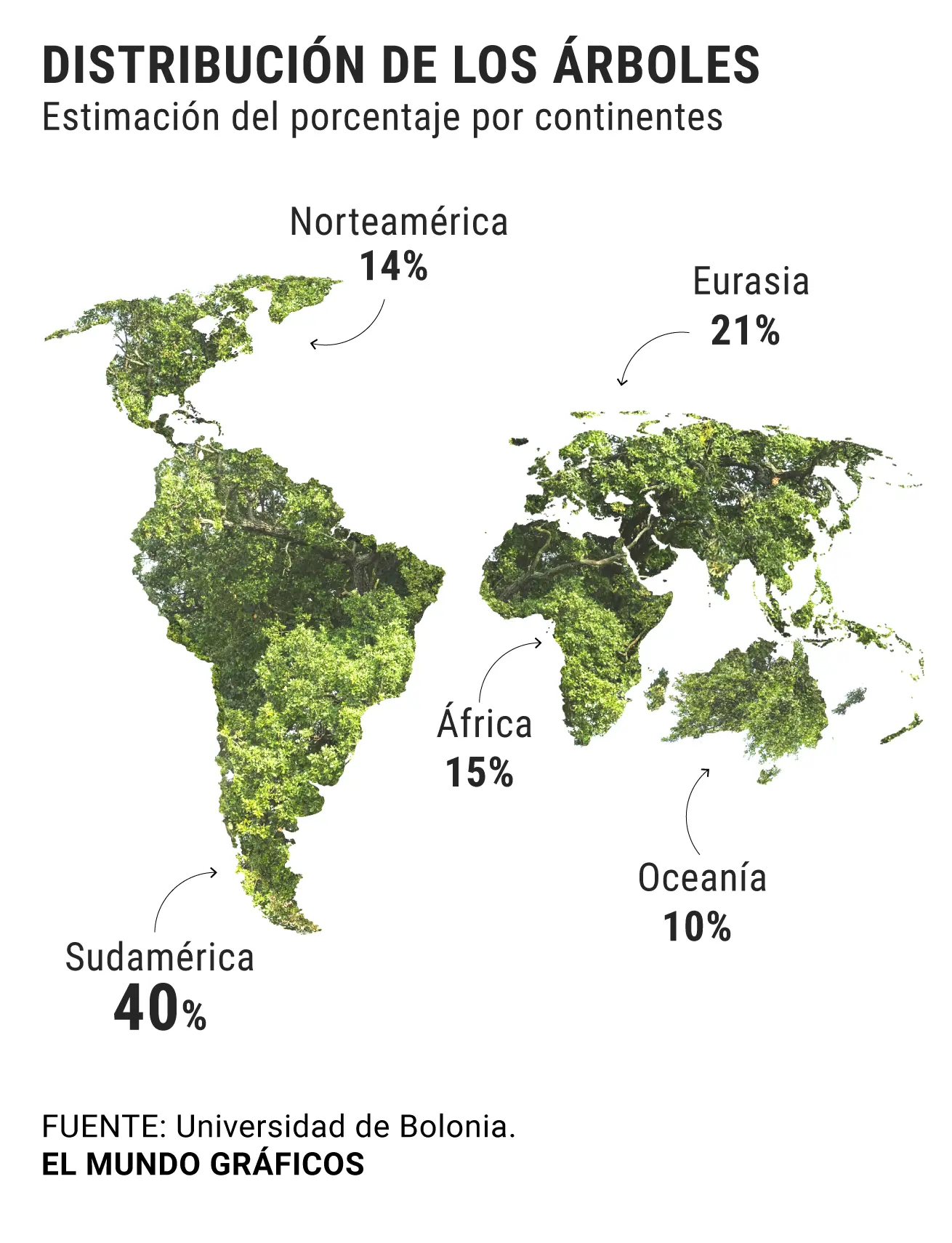 La cantidad de árboles en el mundo: Un panorama sorprendente - Cuántos millones de árboles hay en la Tierra cantidad de arboles en el mundo - Cuántos millones de árboles hay en la Tierra