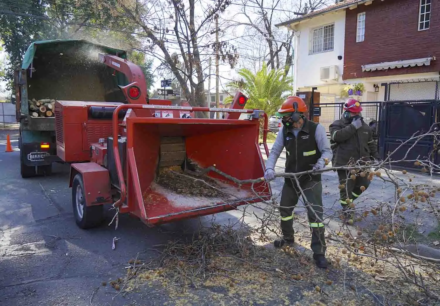 Dirección de Arbolado en Vicente López: Cómo Contactar a la Oficina - Dónde llamar por ruidos molestos Vicente López direccion de oficina de arbolado en calle uzal vicente lopez - Dónde llamar por ruidos molestos Vicente López