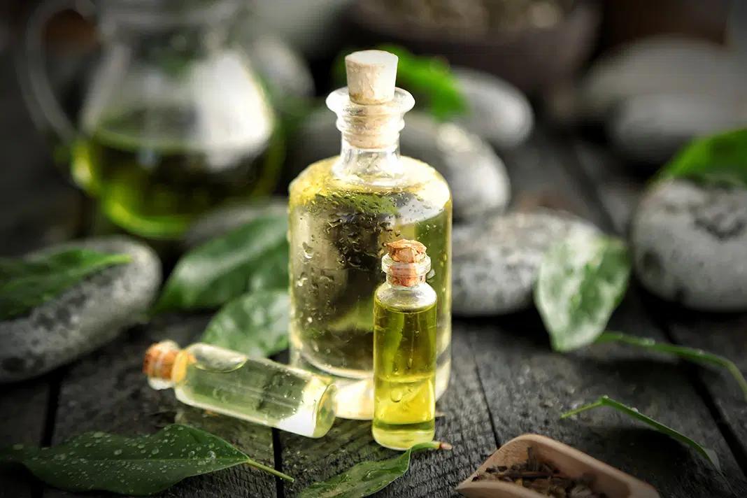 Enjuague Bucal con Árbol de Té: Beneficios, Usos y Cómo Hacerlo - Funciona el enjuague bucal con aceite de árbol de té enjuague bucal arbol de te - Funciona el enjuague bucal con aceite de árbol de té