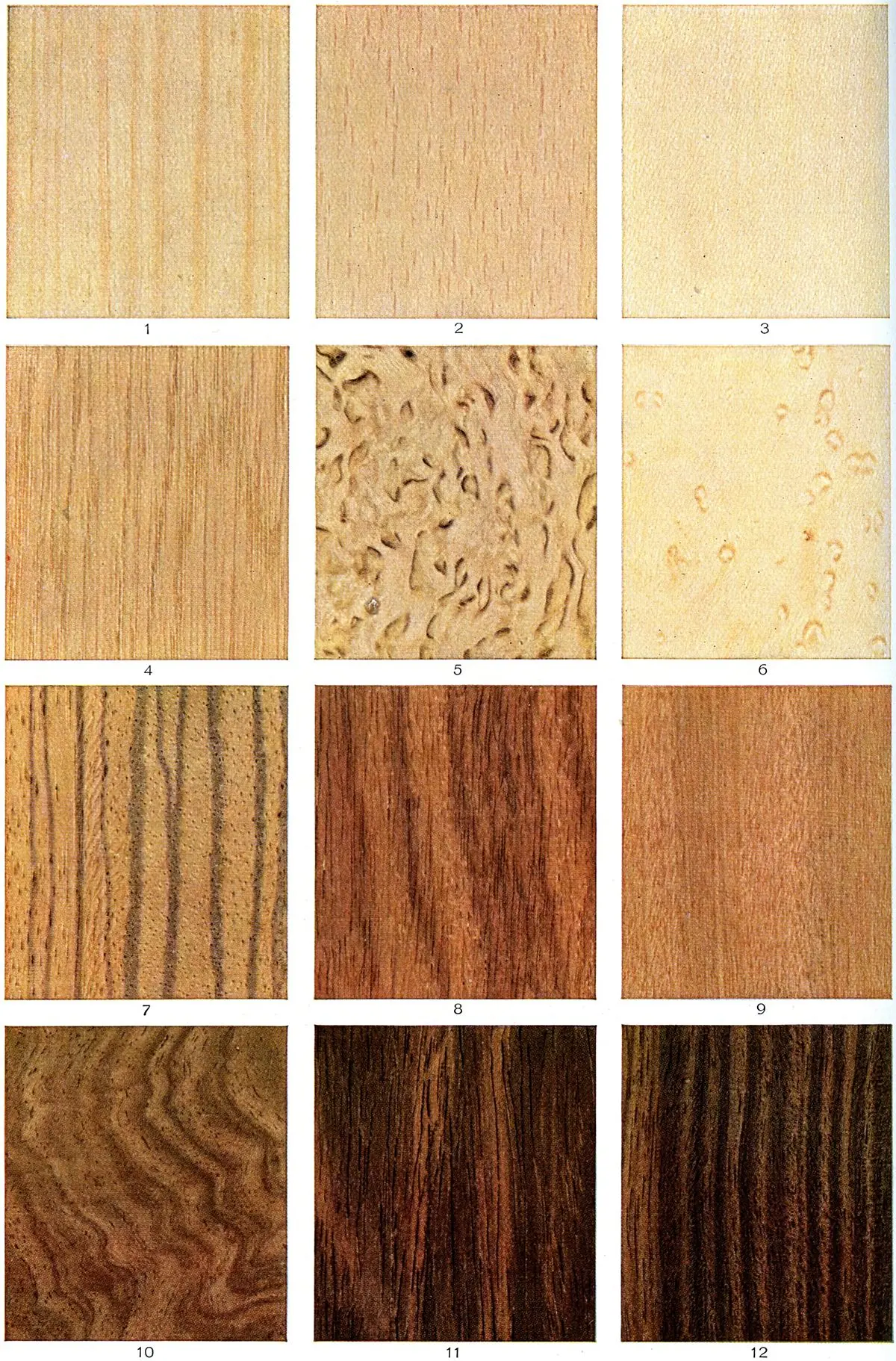 Okume: La Madera Tropical con Propiedades Únicas - Qué árbol es el okume arbol de okume - Qué árbol es el okume