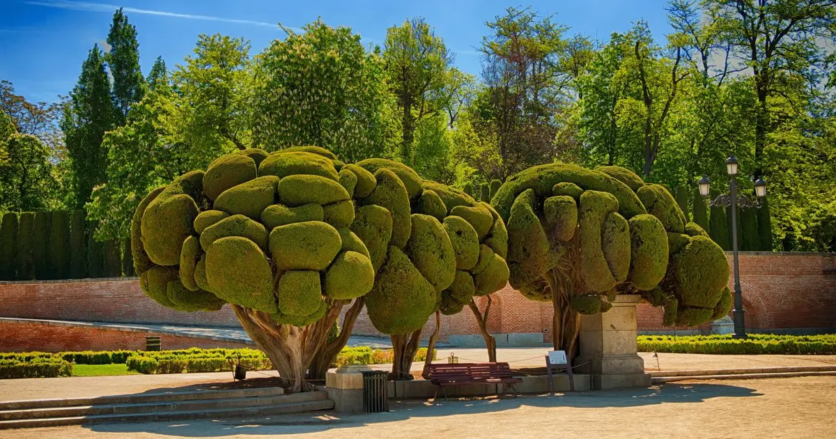 Árboles líquidos: una solución innovadora para combatir la contaminación urbana - Qué árbol purifica más el aire arbol artificial de algas - Qué árbol purifica más el aire