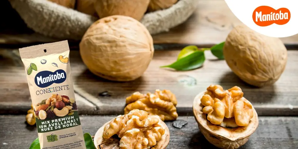 Beneficios del fruto del nogal: una fuente de salud y sabor - Qué beneficios tiene la nuez de nogal fruto del arbol de nogal - Qué beneficios tiene la nuez de nogal