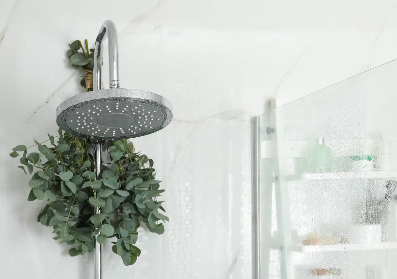 Eucalipto: Propiedades, Beneficios y Usos de este Árbol - Qué beneficios tiene tener eucalipto en casa arbol de eucalipto caracteristicas - Qué beneficios tiene tener eucalipto en casa