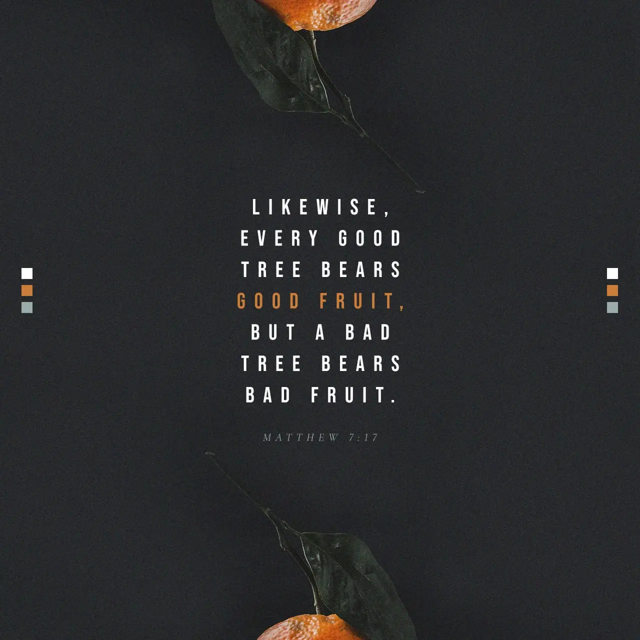 El Árbol Que No Da Fruto: Interpretación Bíblica y Su Significado - Qué dice la Biblia acerca de un árbol que da fruto arbol que da fruto biblia - Qué dice la Biblia acerca de un árbol que da fruto