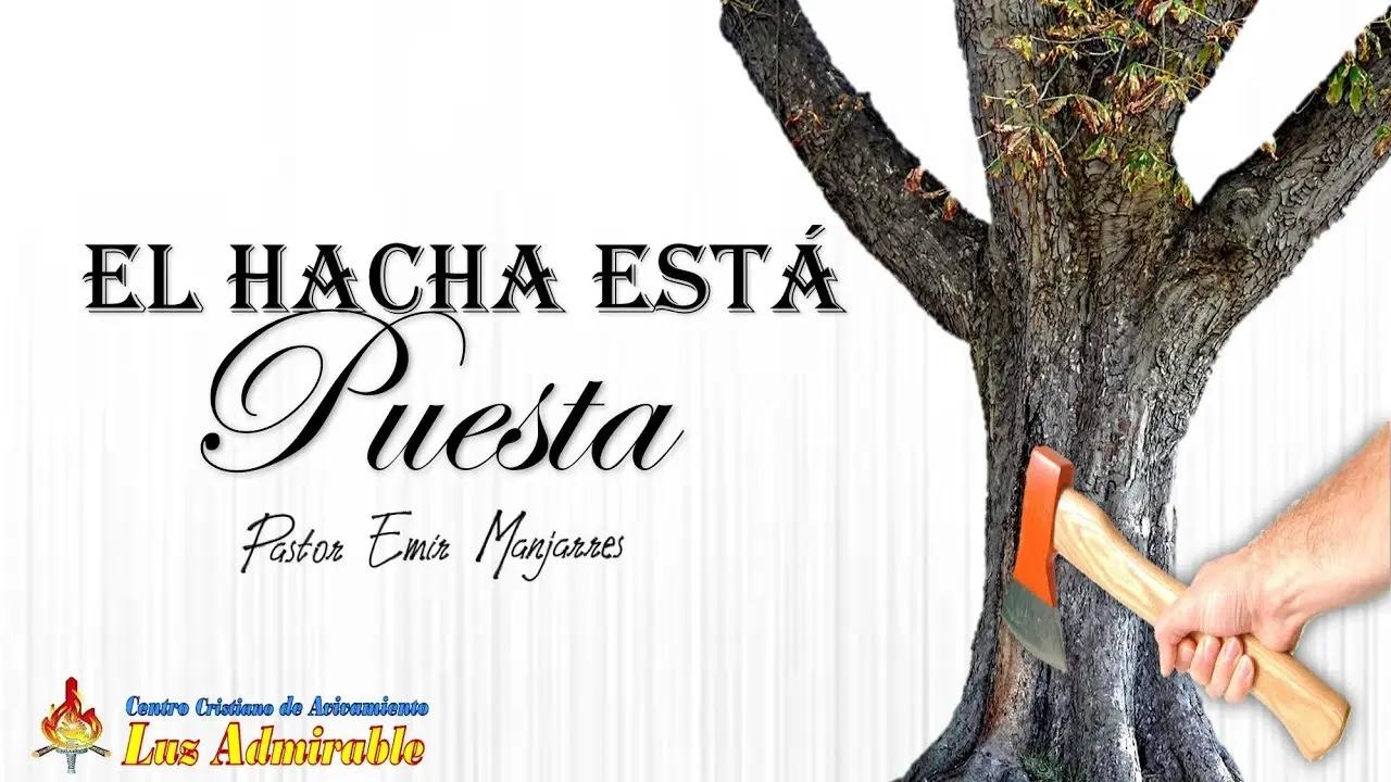 El hacha está puesta a la raíz del árbol: Un análisis de la parábola bíblica - Qué dice la Biblia sobre el hacha el hacha esta puesta a la raiz del arbol - Qué dice la Biblia sobre el hacha