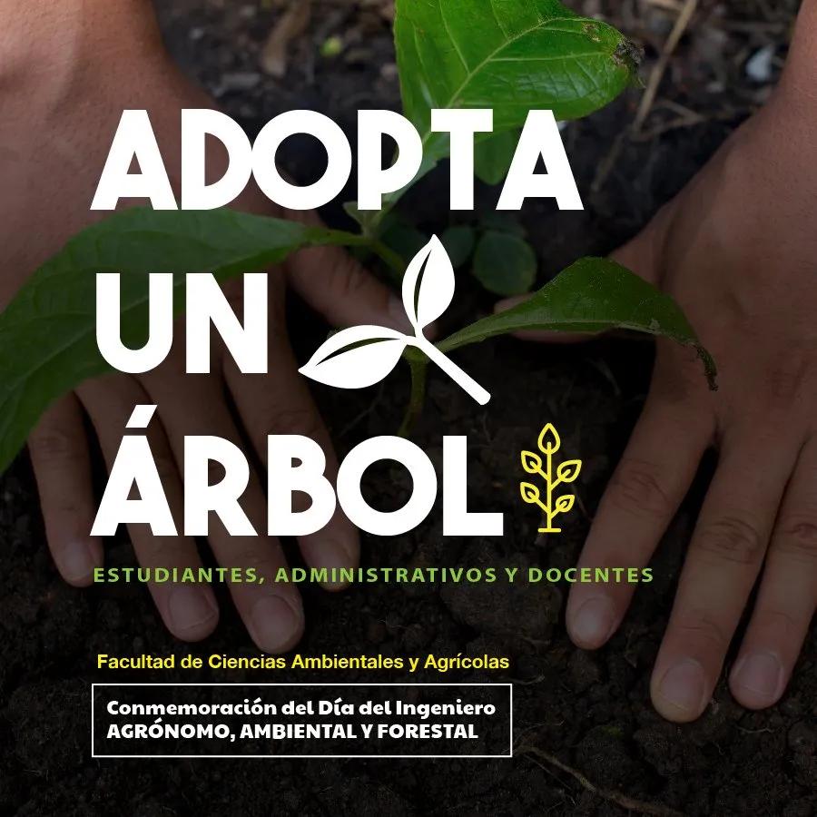 Adopta un árbol: Cómo contribuir a la reforestación y cuidar el medio ambiente - Qué es adoptar un árbol adopta un arbol - Qué es adoptar un árbol