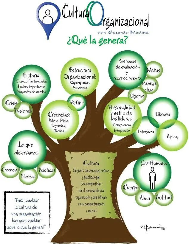 El Árbol de la Economía: Una Representación Visual de la Complejidad Económica - Qué es el árbol de la economía arbol de la administracion - Qué es el árbol de la economía