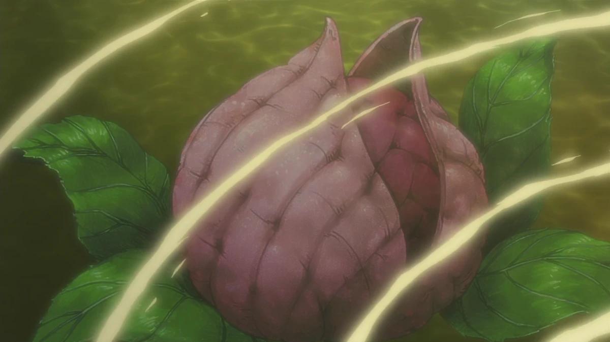 El Árbol de Naruto: Shinju, el árbol gigante que absorbe chakra - Qué es el fruto de Chakra arbol de naruto - Qué es el fruto de Chakra