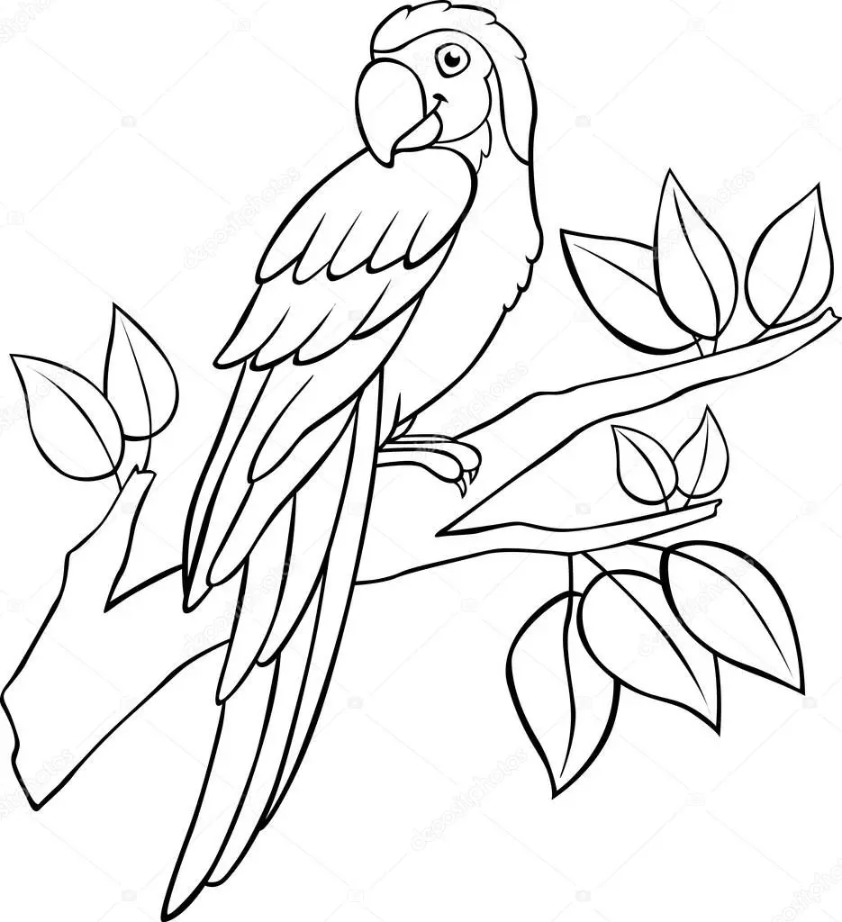 Loro en un Árbol para Colorear: Descubre la Magia de estas Aves - Qué es el loro para niños loro en un arbol para colorear - Qué es el loro para niños