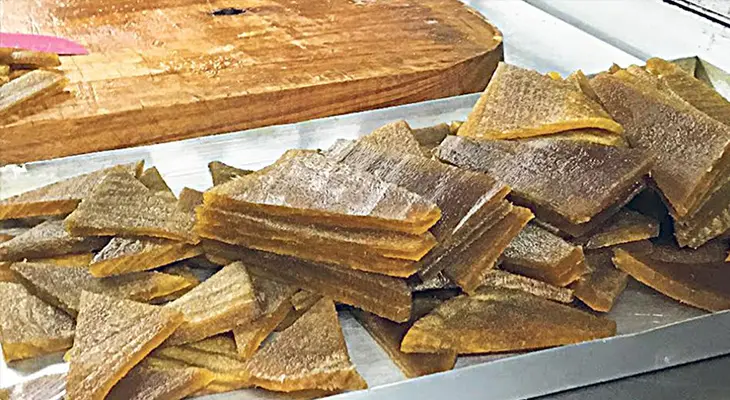 El árbol de madera comestible: Descubre el Yacaratiá - Qué es el yacaratia en Argentina arbol de madera comestible - Qué es el yacaratia en Argentina