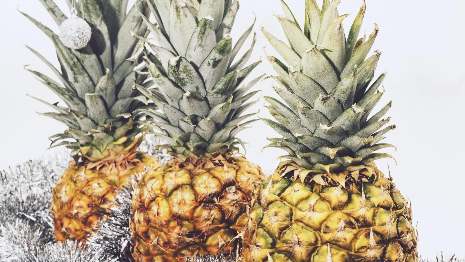 El Significado de las Piñas en el Árbol de Navidad: Tradición, Simbolismo y Beneficios - Qué es la piña de Navidad arbol navidad con piñas - Qué es la piña de Navidad