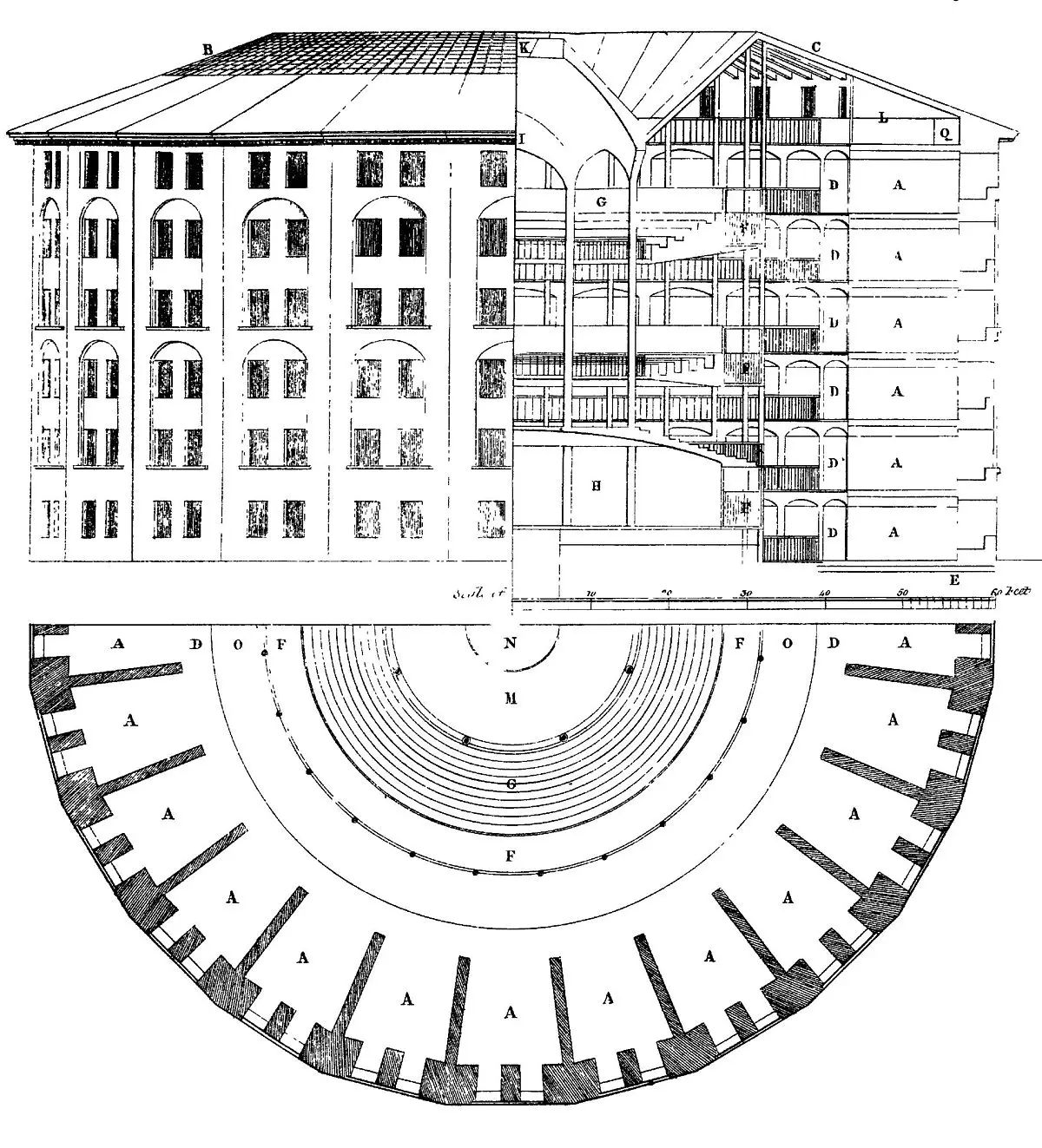 El Árbol como Elemento Esencial en la Arquitectura - Qué es la planta de estructura en arquitectura arbol arquitectura planta - Qué es la planta de estructura en arquitectura
