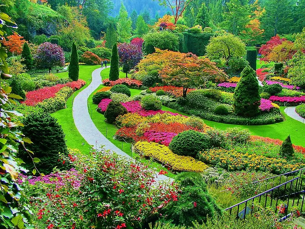 Paisajismo: El Arte de Transformar Espacios con la Naturaleza - Qué es la técnica del paisajismo arboles paisajismo diseño - Qué es la técnica del paisajismo