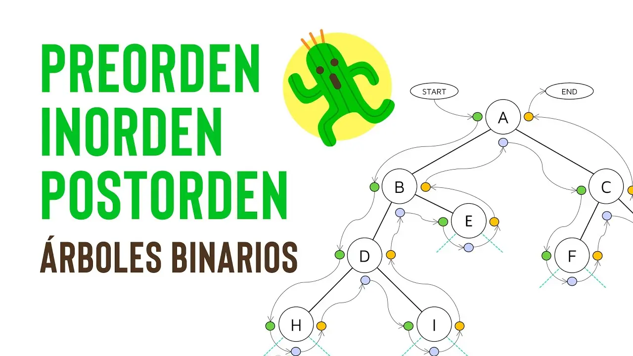 arboles preorden inorden postorden - Qué es preorder, inorder y postorder