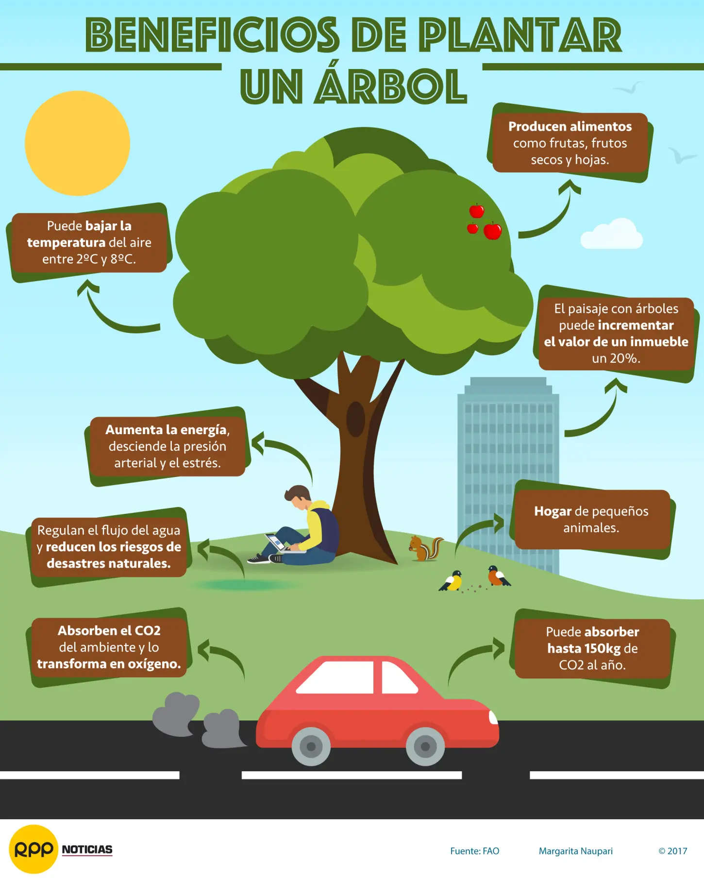 La Importancia del Arbolado: Una Perspectiva de la FAO - Qué es un árbol según la FAO importancia del arbolado fao - Qué es un árbol según la FAO