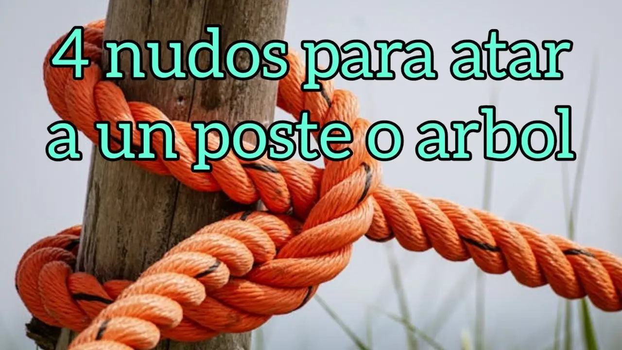 Cómo atar una cuerda a un árbol: Guía completa de nudos para escalada y seguridad - Qué es un nudo de árbol como atar una cuerda a un arbol - Qué es un nudo de árbol