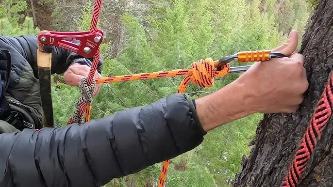 Cómo atar una cuerda a un árbol: Guía completa de nudos para escalada y seguridad - Qué es un nudo de cuerda como atar una cuerda a un arbol - Qué es un nudo de cuerda