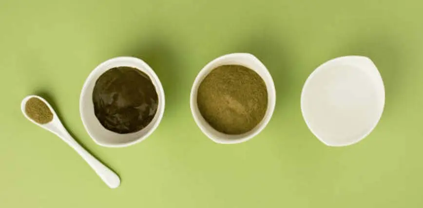 Henna: Un Viaje a Través del Árbol y Sus Beneficios - Qué es y para qué sirve la henna arbol de henna - Qué es y para qué sirve la henna