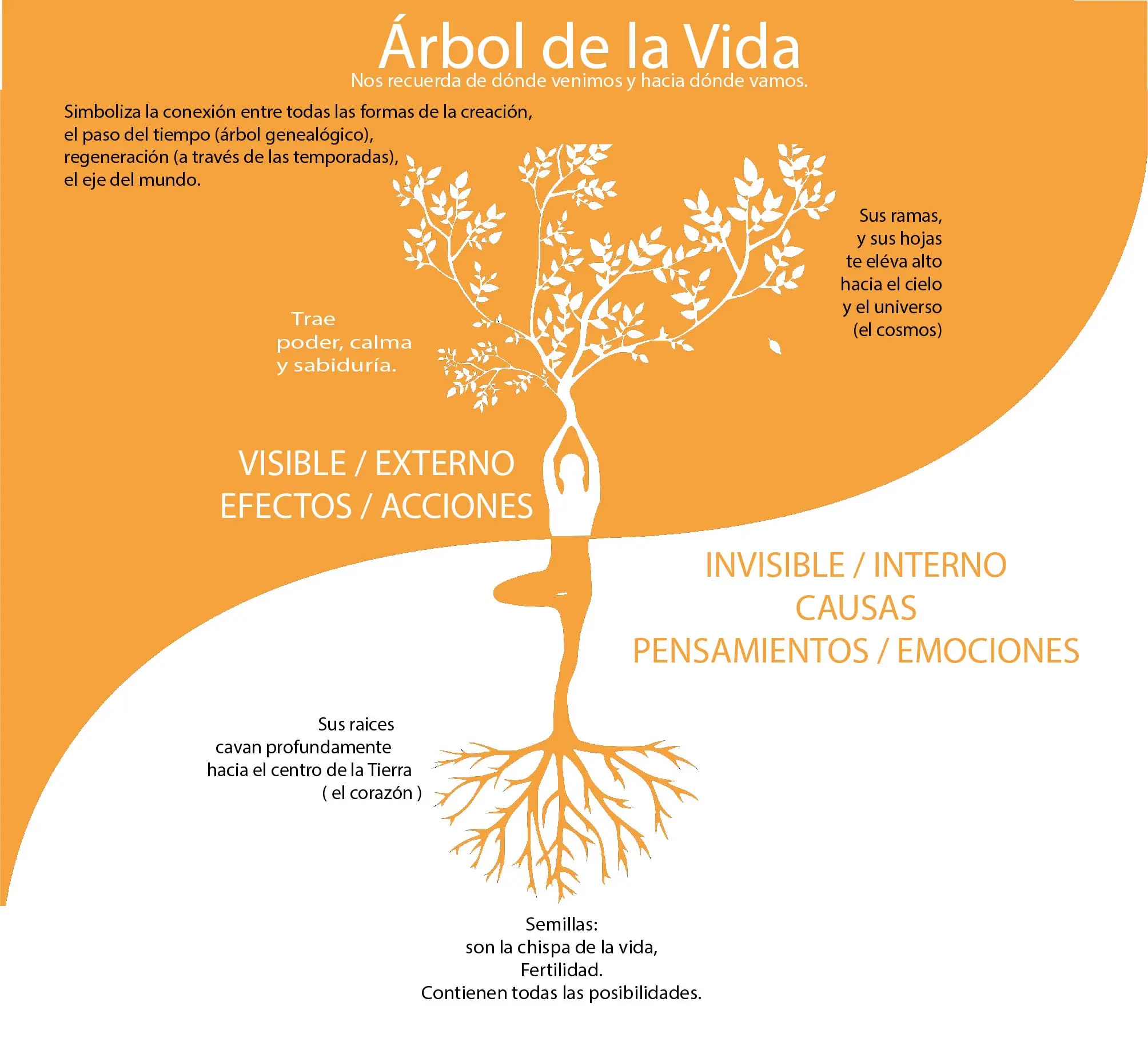 El Árbol de la Vida en el Cerebro: Descifrando su Significado y Efectos - Qué hace el árbol de la vida en el cerebro efecto arbol de la vida - Qué hace el árbol de la vida en el cerebro