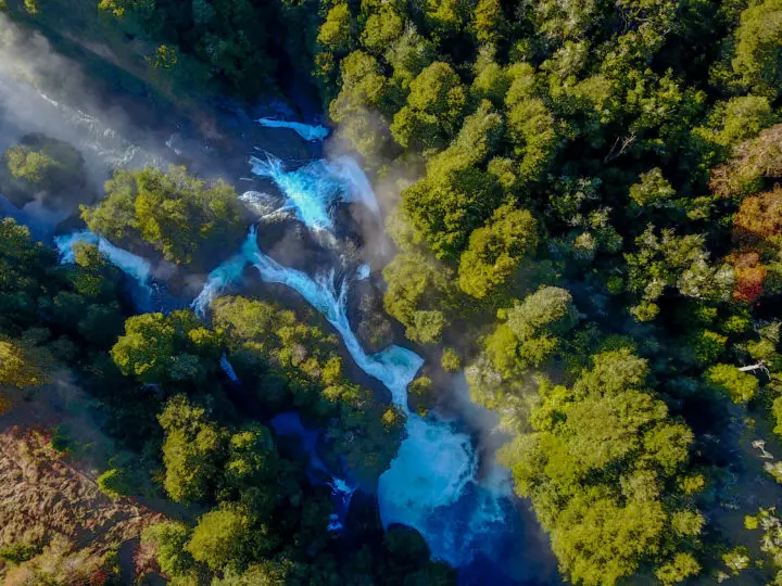 Hotel Nothofagus: Un Sueño en el Bosque de Huilo Huilo - Qué hacer en Nothofagus hotel arbol chile - Qué hacer en Nothofagus