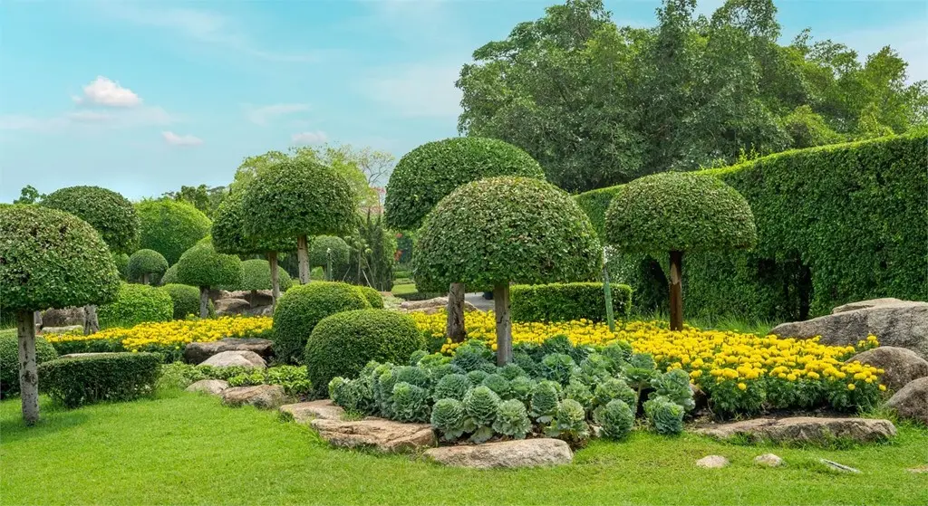Paisajismo: El Arte de Transformar Espacios con la Naturaleza - Qué incluye el paisajismo arboles paisajismo diseño - Qué incluye el paisajismo