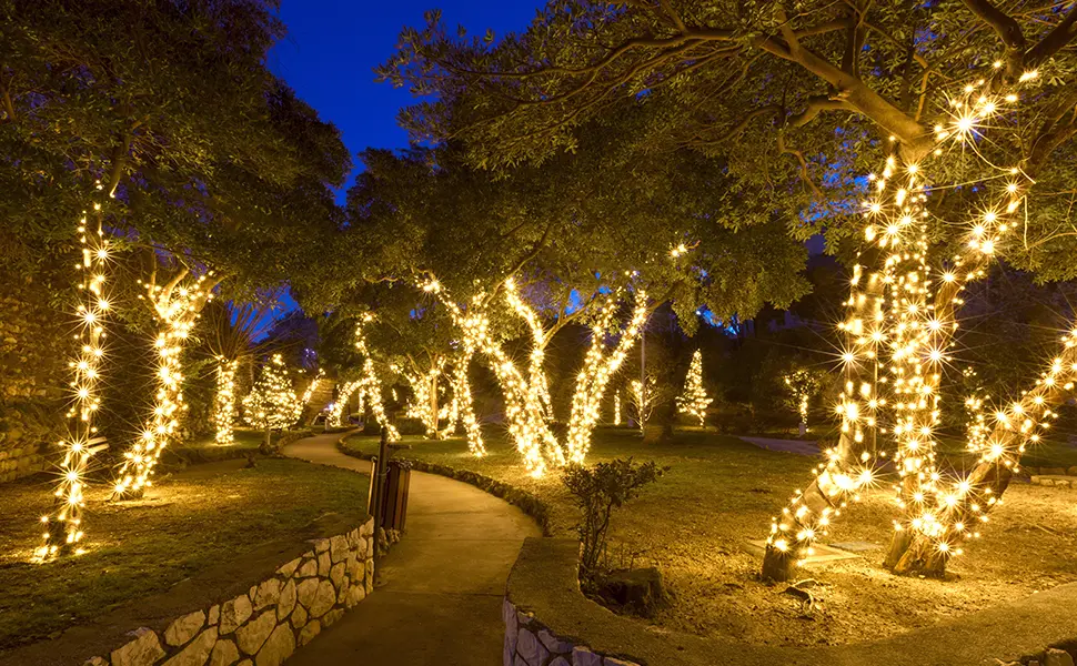 Luces de Navidad para Árboles: Guía Completa para Iluminar tu Hogar - Qué luces usar para el árbol de Navidad arboles con luces para exterior - Qué luces usar para el árbol de Navidad