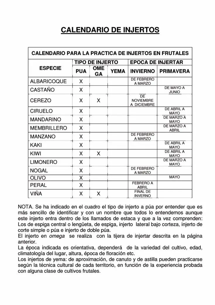 Calendario de Injertos de Árboles Frutales: Guía Completa para el Éxito - Qué pasa si injerto en luna menguante calendario de injertos de arboles frutales - Qué pasa si injerto en luna menguante