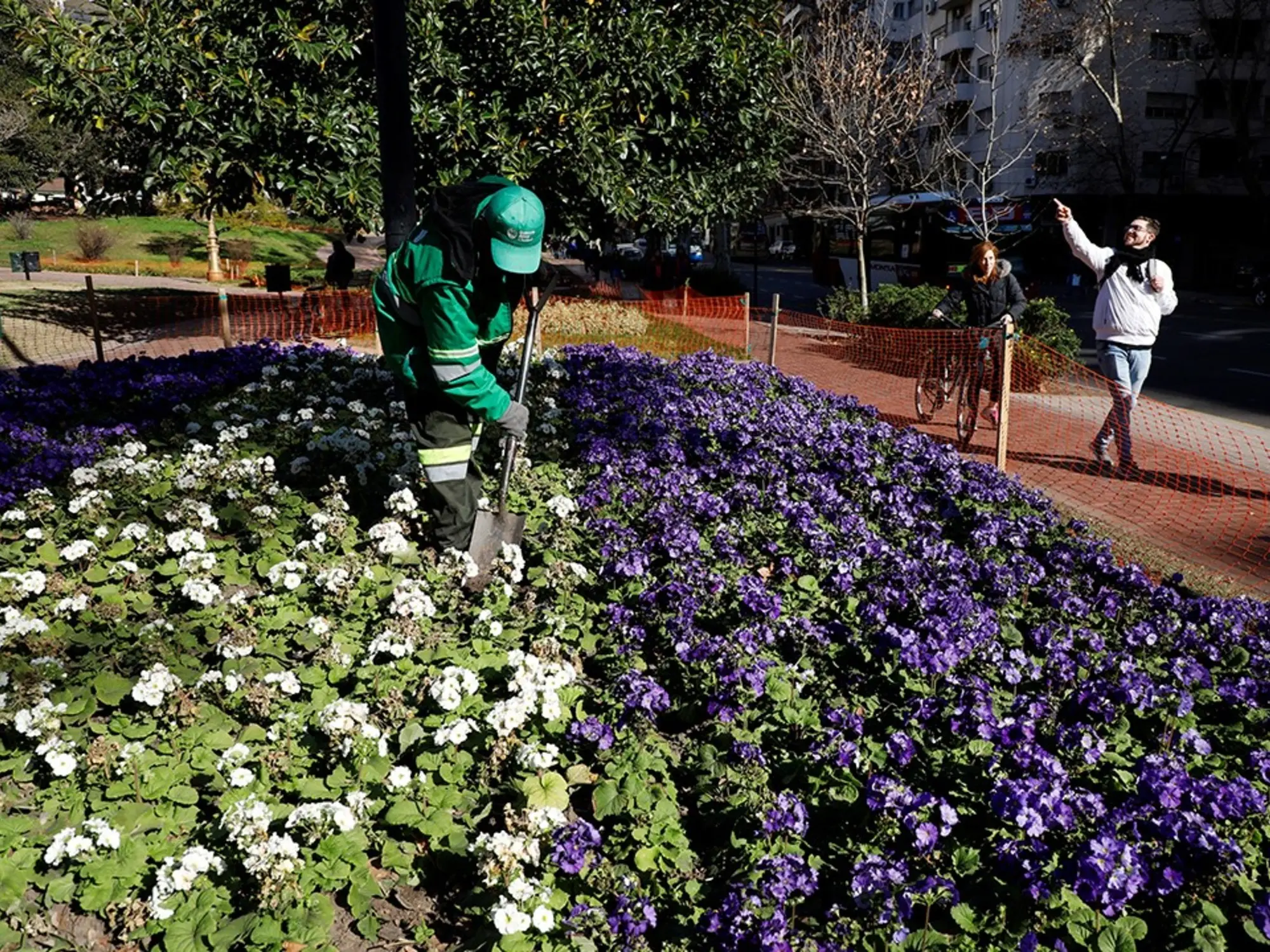 Árboles que florecen en invierno en Argentina: Un espectáculo de color en la época fría - Qué plantas con flores se pueden plantar en invierno arboles que florecen en invierno argentina - Qué plantas con flores se pueden plantar en invierno