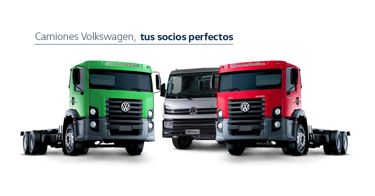 camion con arboles - Qué puedo hacer con un camión