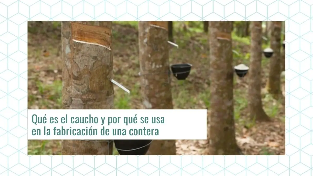 <b>Árbol Caucho</b>: El gigante verde del Amazonas - Qué se hace del árbol de caucho arbol caucho amazonas - Qué se hace del árbol de caucho