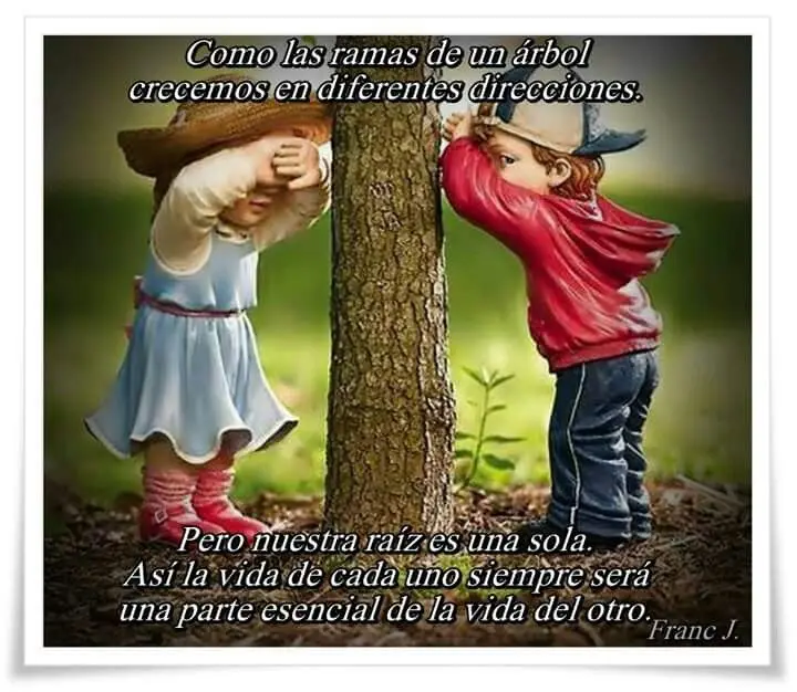 Como las ramas de un árbol, crecemos en diferentes direcciones, pero nuestras raíces permanecen como una sola - Qué significa “como las ramas de un árbol, crecemos en diferentes direcciones pero nuestras raíces permanecen como una sola” como las ramas de un arbol crecemos en diferentes direcciones - Qué significa “como las ramas de un árbol, crecemos en diferentes direcciones pero nuestras raíces permanecen como una sola”