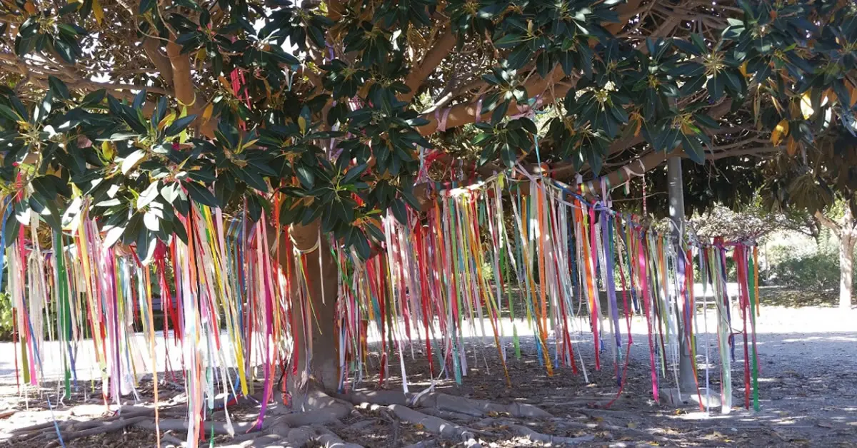 El Árbol Memorial: Un Homenaje Perdurable a la Vida - Qué significa espiritualmente plantar un árbol arbol memorial - Qué significa espiritualmente plantar un árbol