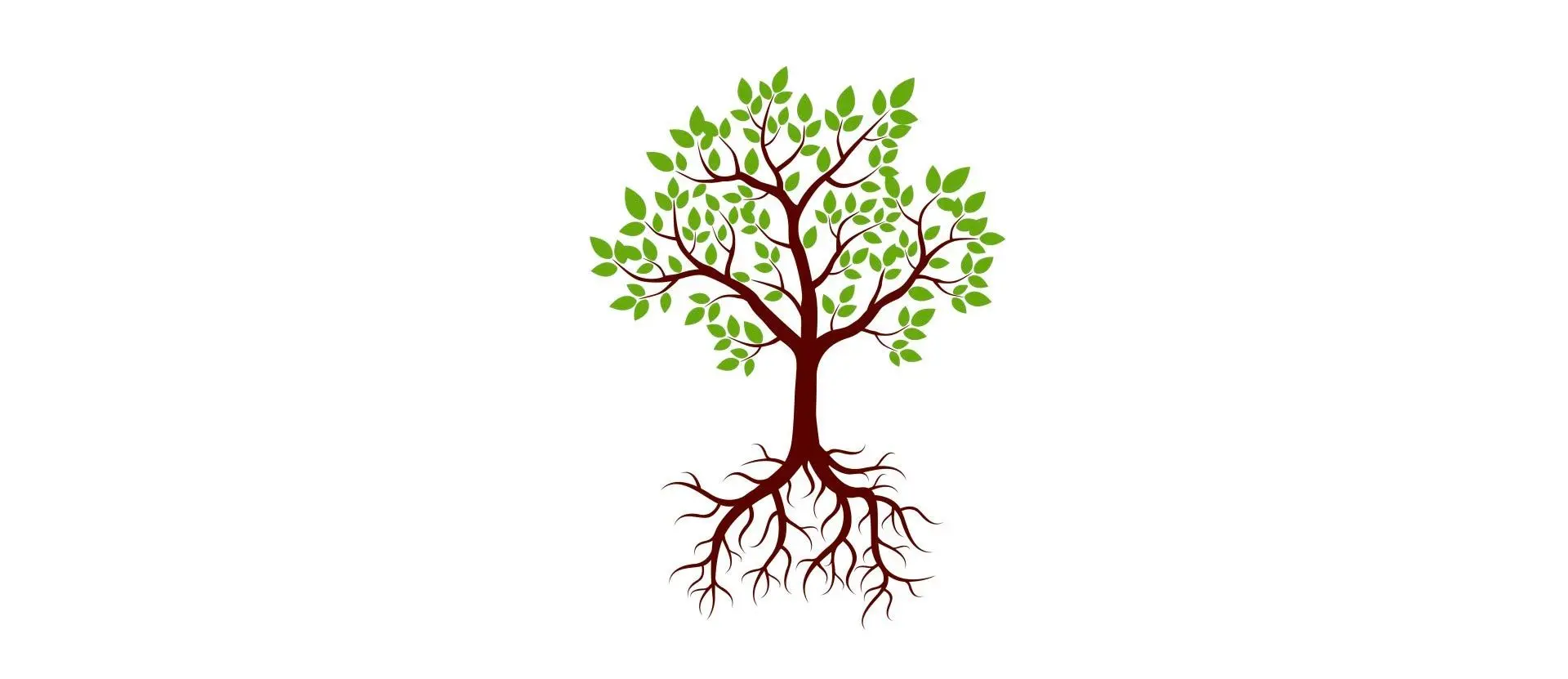 arbol psicologia - Qué significa que un psicólogo te pida dibujar una casa y un árbol